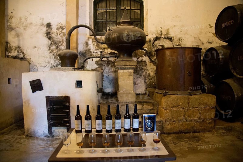 San Bruno brand brandy cognac production in Gonzalez Byass bodega, Jerez de la Frontera, Cadiz province, Spain, Europe