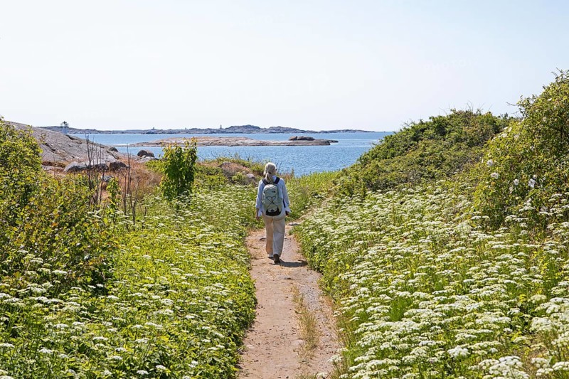 Swedish woman hiking on the Kuststigen Bohuslaen coastal hiking trail on the archipelago island of Hoenoe, Oeckeroe municipality, Vaestra Goetalands laen province, Sweden, Europe