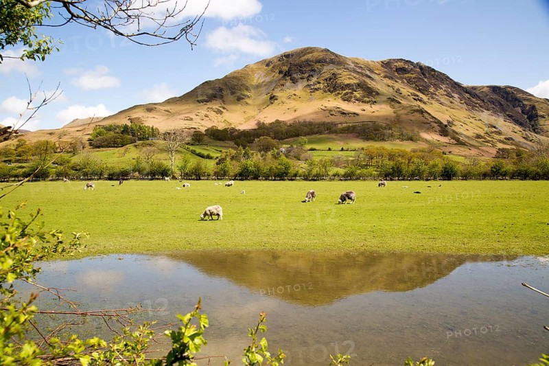 Landscape view of High Snockrigg Fell hill and flooded field, Buttermere, Cumbria, England, UK