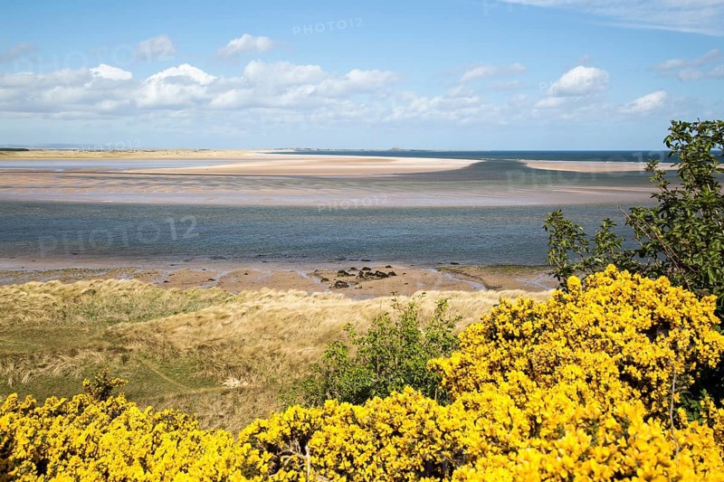 Coastal landscape of tidal sands, Budle Bay, Northumberland coast, England, UK