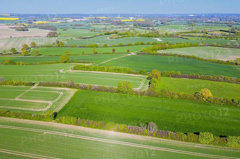 Aerial view over rural bocage landscape with fields and pastures, patchwork of plots surrounded by hedges and hedgerows, Schleswig-Holstein, Germany, Europe