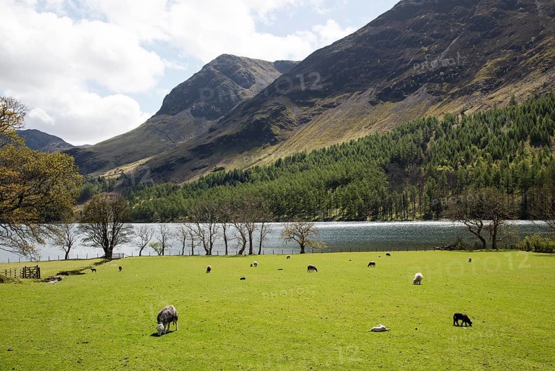 Landscape view of Lake Buttermere, Cumbria, England, UK