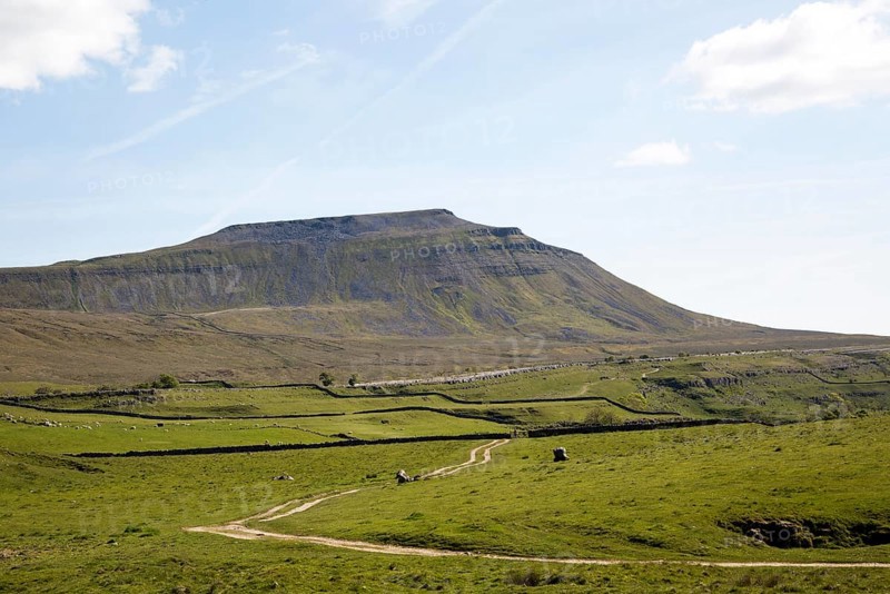 Carboniferous limestone scenery, Ingleborough Hill, Yorkshire Dales national park, England, UK