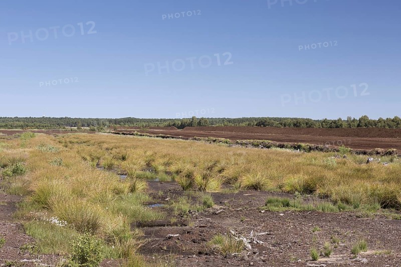 Peat extraction at Totes Moor, Tote Moor, raised bog near Neustadt am Ruebenberge, district of Hannover, Lower Saxony, Niedersachsen, Germany, Europe