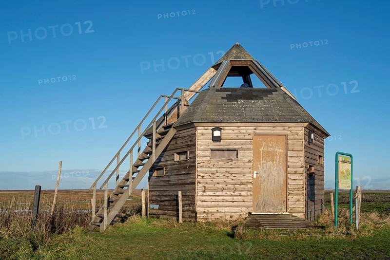 Bird hide at the nature reserve Verdronken Land van Saeftinghe, salt marsh of the Western Scheldt estuary on the border of the Netherlands and Belgium
