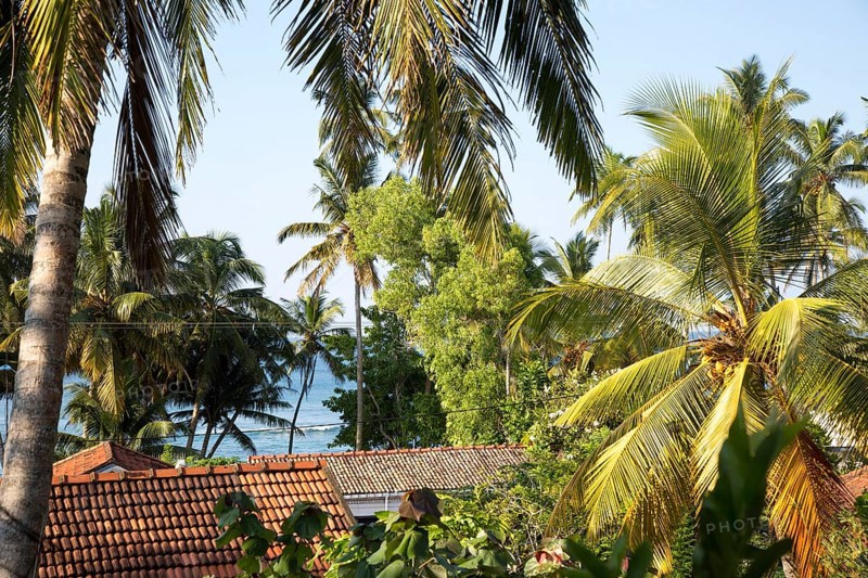 View over rooftops and palm trees to to blue ocean, Mirissa, Sri Lanka, Asia