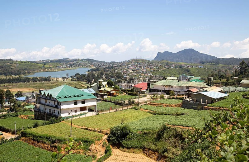 View over the town of Nuwara Eliya, Central Province, Sri Lanka, Asia farmland in foreground, Asia