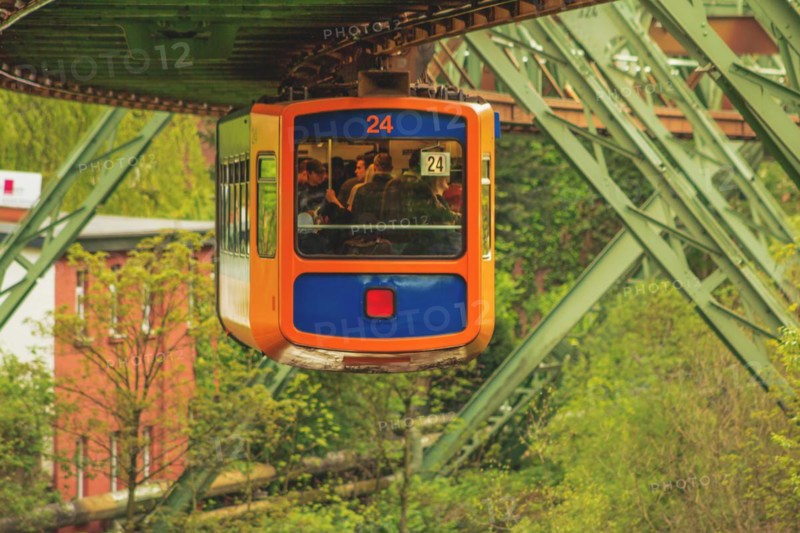 Orange-coloured suspension railway hanging on rails over a green landscape, suspension railway, Wuppertal, North Rhine-Westphalia, Germany, Europe