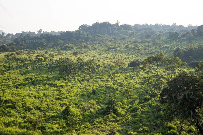 Landscape overview Hurulu Eco Park biosphere reserve, Habarana, Anuradhapura District, Sri Lanka, Asia