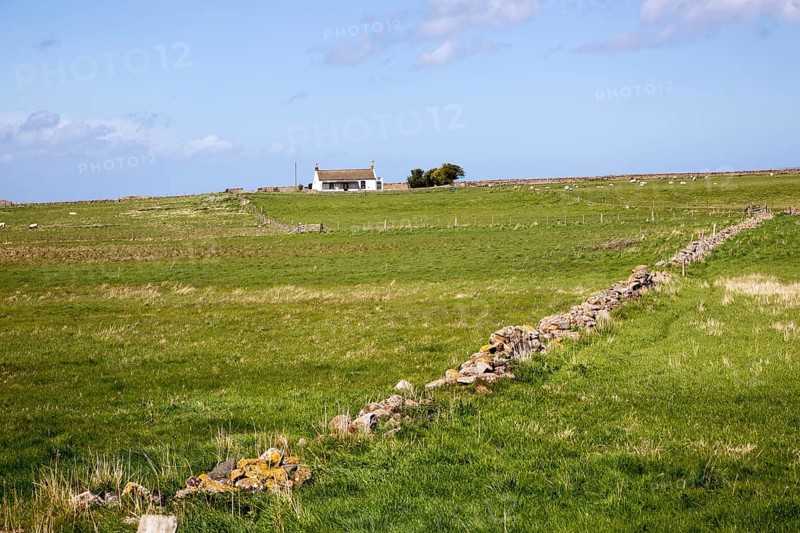 Small detached bungalow house, Holy Island, Lindisfarne, Northumberland, England, UK