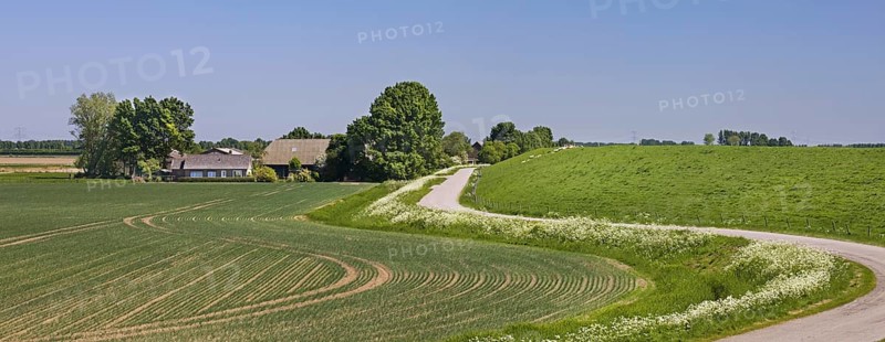 Rural landscape showing winding road, farm with farmland and dyke, dike in spring at Schouwen-Duiveland, Zeeland, the Netherlands