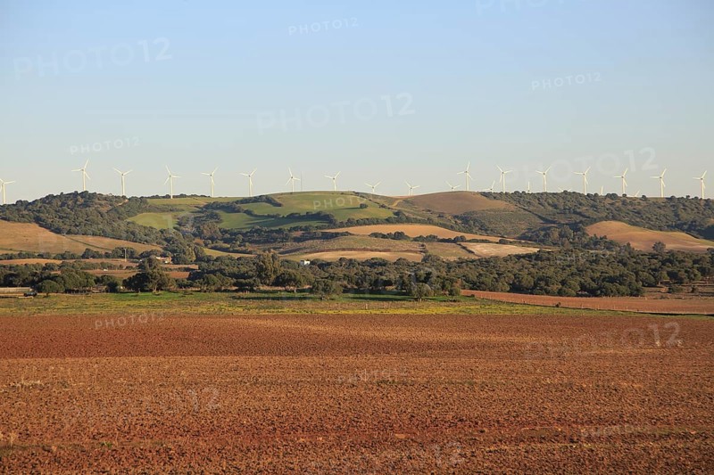 Farming landscape with wind turbines in distance, Vejer de la Frontera, Cadiz province, Spain, Europe