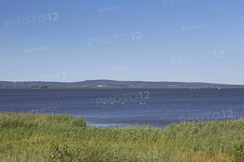 Steinhuder Meer, Lake Steinhude in the Hannoversche Moorgeest, Hanoverian Moor Geest in summer, Lower Saxony, Germany, Europe