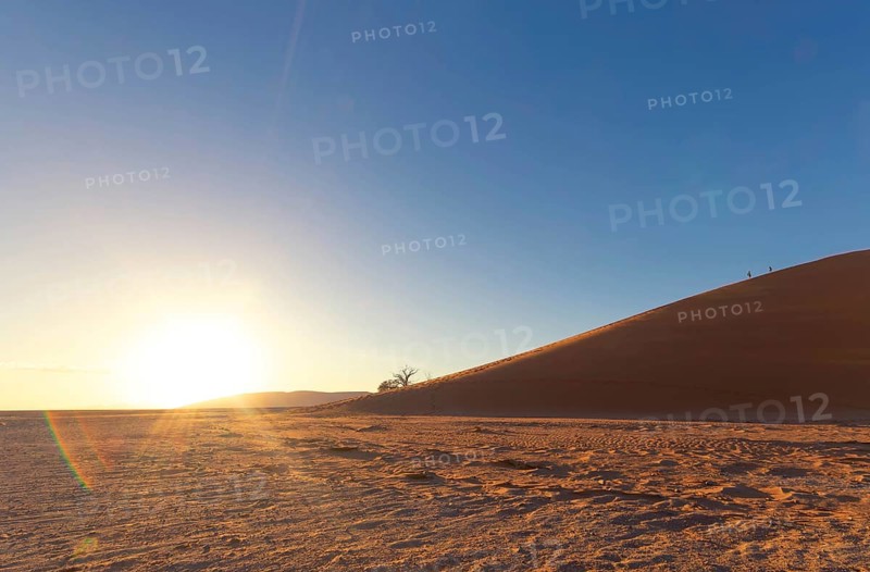 Sunrise over a vast desert landscape, Dune 45, Big daddy, sand dune, safari, wildlife, Etosha National Park, Namibia, Africa