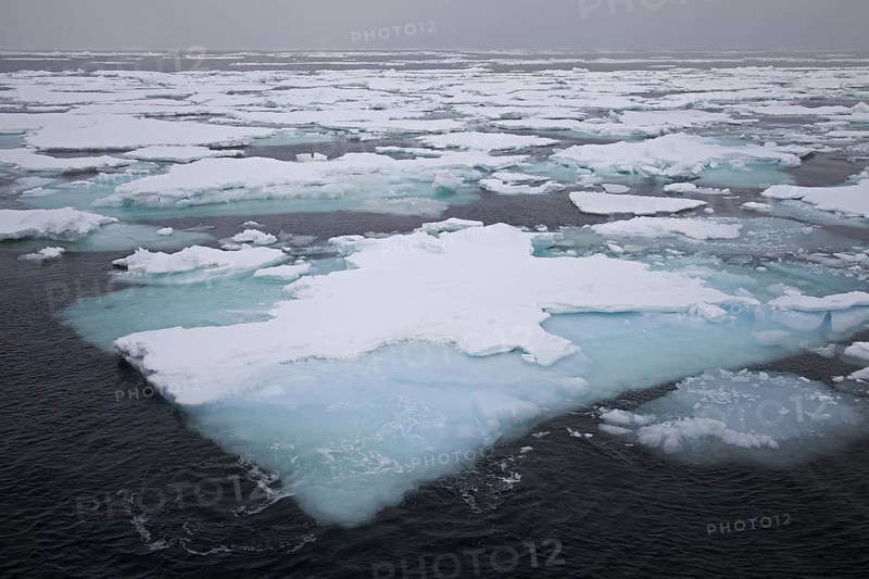 Pack ice, drift ice, ice floes drifting in the Greenland Sea