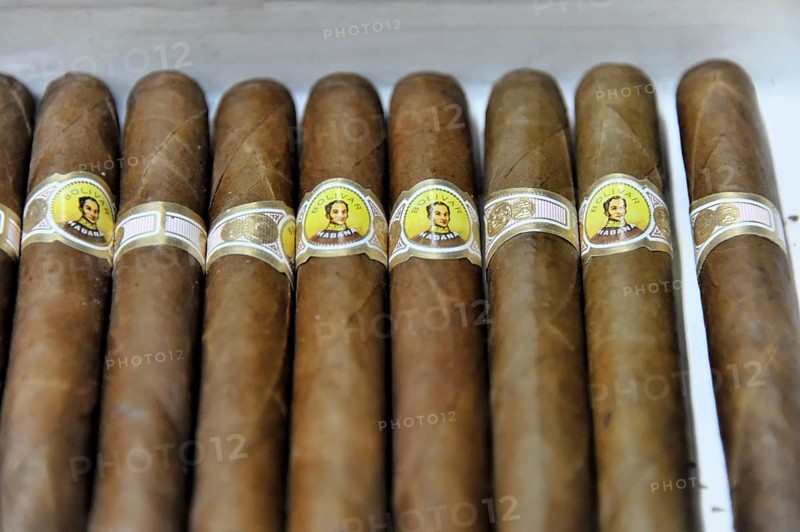 Bolivar brand cigars in a tobacco shop, Havana, Cuba, Greater Antilles, Central America, America, Central America