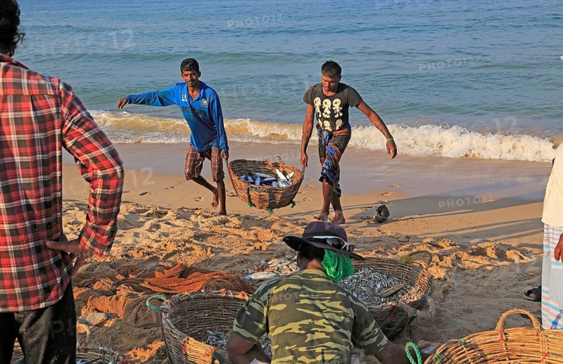 Traditional fishing hauling nets Nilavelli beach, near Trincomalee, Eastern province, Sri Lanka, Asia