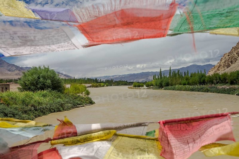 Mid-summer view of the Indus River, seen from the Buddhist prayer flags decorated bridge in Central Ladakh. As the river is fed by glaciers and snow, its waters are usually high in summer when melting is intense, as seen here. Leh District, Union Territory of Ladakh, India, Asia