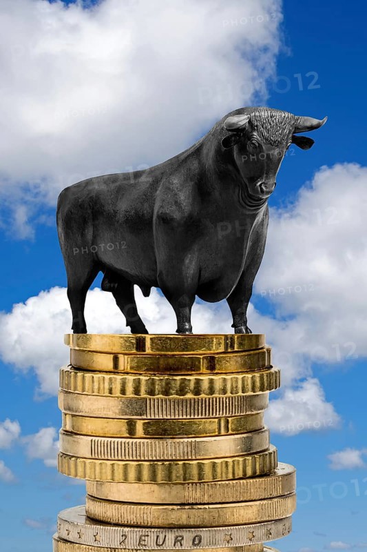 Bull market, bull on euro coins, cumulus clouds in front of blue sky, East Frisia, Lower Saxony, Federal Republic of Germany