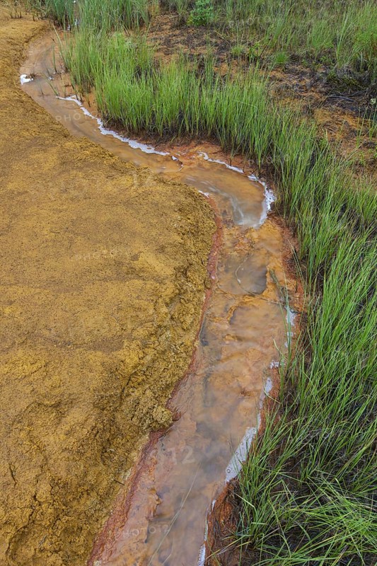 Paint Pots, iron-rich cold mineral springs in the Kootenay National Park, British Columbia, Canada, North America