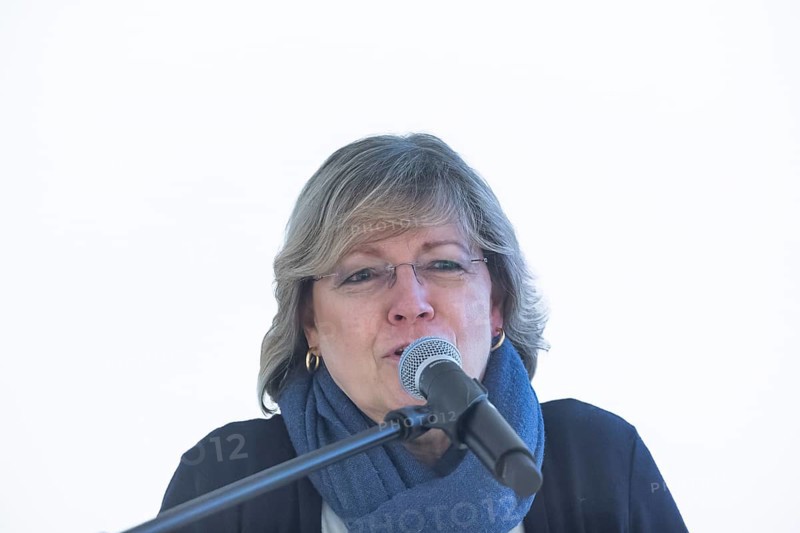 Angela Roesen-Wolff is a German physician with a research and work focus on clinical research in paediatrics and adolescent medicine. Since 2020 she has been Vice-Rector for Research at the Technical University of Dresden, Saxony, Germany, Europe