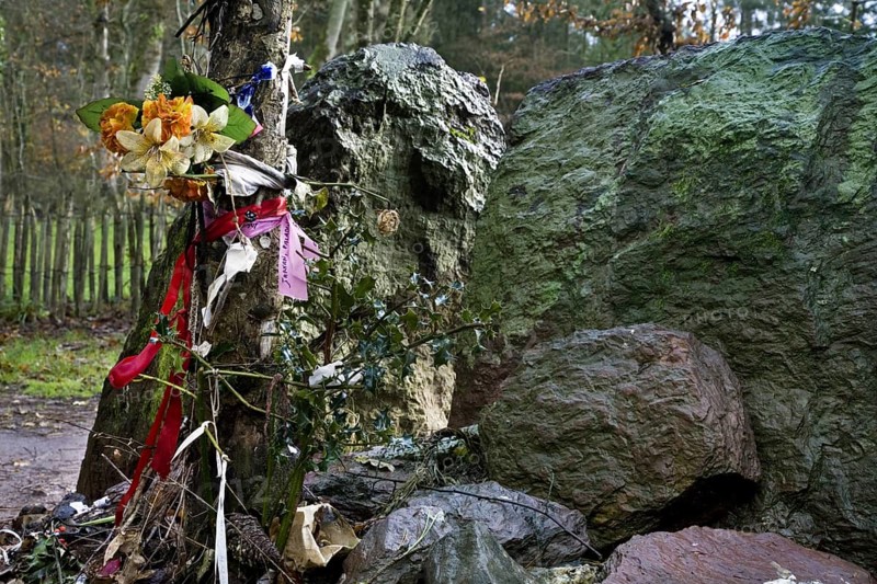 Merlin's menhir, tombeau de Merlin, Broceliande at Paimpont, Brittany, France, Europe