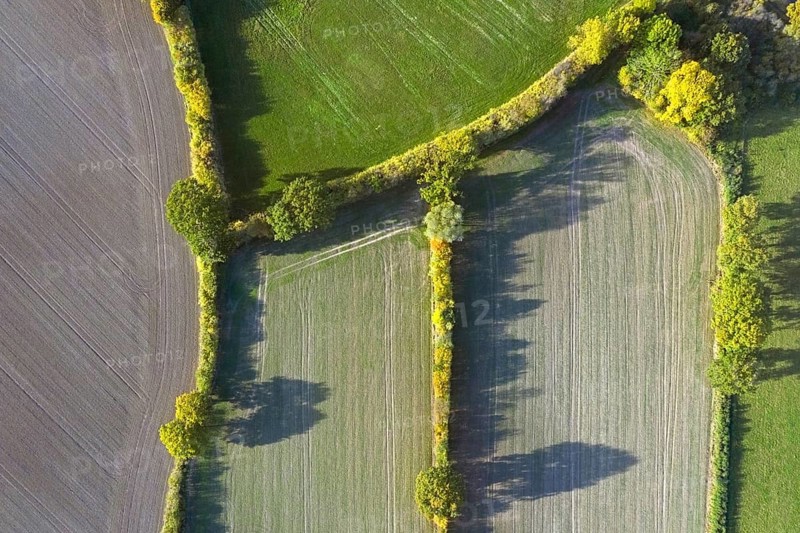 Aerial view over countryside showing bocage landscape with fields, meadows and pastures, patchwork of plots shielded by hedges and hedgerows in autumn