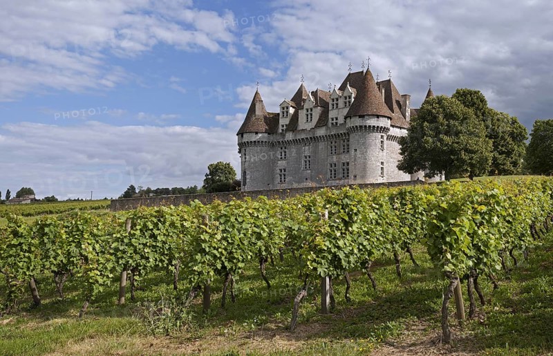 The castle Chateau de Monbazillac and vineyard, Dordogne, Aquitaine, France, Europe