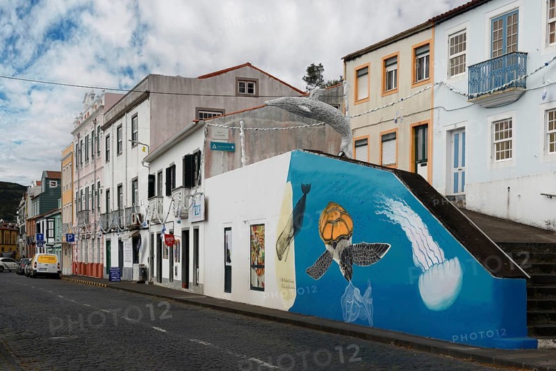 A living mural of a turtle and jellyfish adorns a townhouse, Horta, Faial Island, Azores, Portugal, Europe