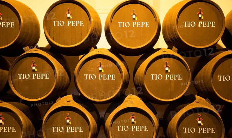 Oak barrels of maturing Tio Pepe fino sherry wine cellar, Gonzalez Byass bodega, Jerez de la Frontera, Cadiz province, Spain, Europe