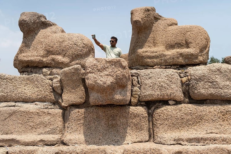 Indian visitor taking selfie, Nandi or Shiva's mount, consecrated Shore Temple, UNESCO World Heritage Site, Mahabalipuram or Mamallapuram, Tamil Nadu, India, Asia