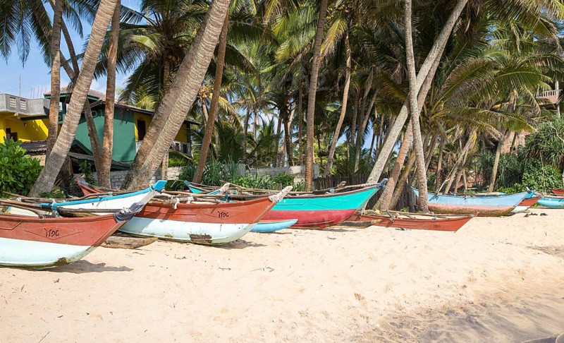 Brightly coloured fishing canoes under coconut palm trees of tropical sandy beach, Mirissa, Sri Lanka, Asia