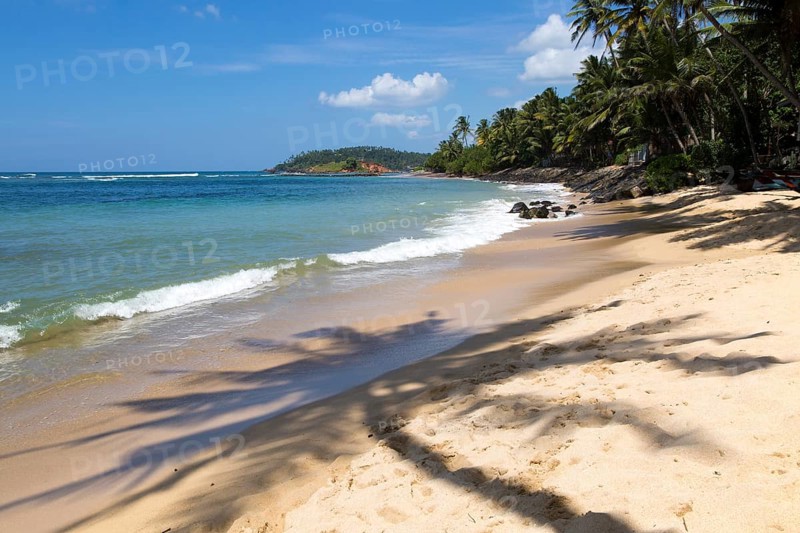 Tropical landscape of palm trees and sandy beach, Mirissa, Sri Lanka, Asia shadow of palm tree, Asia