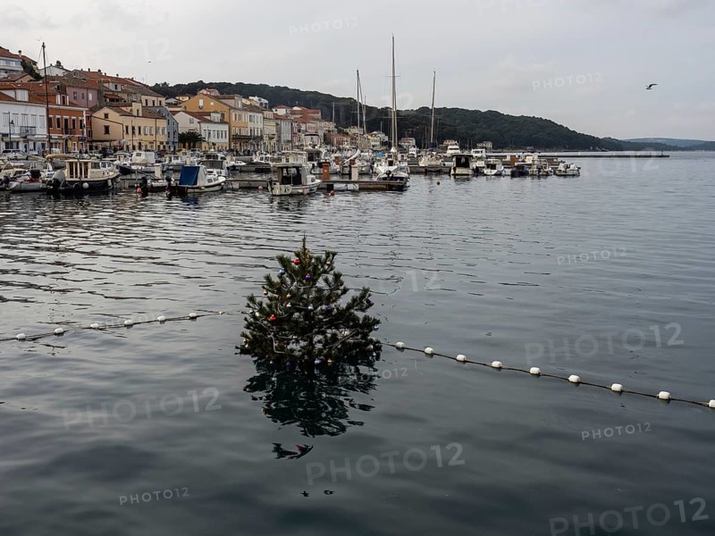 Christmas tree in the harbour basin, Mali Losinj, Kvarner Gulf Bay, Croatia, Europe