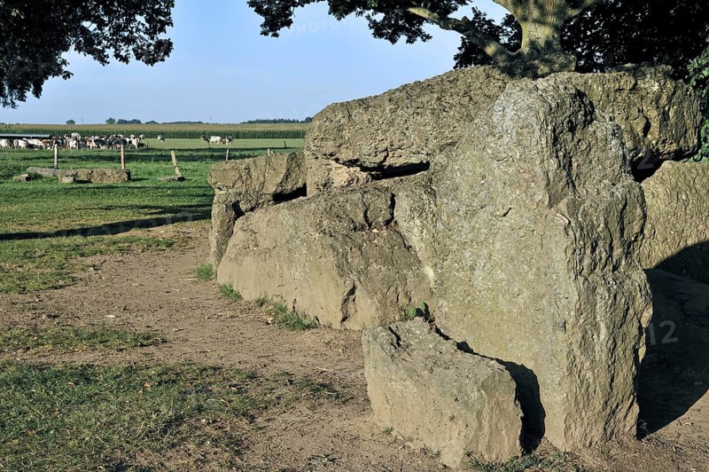 Megalithic Grand Dolmen de Weris made of conglomerate rock, Belgian Ardennes, Luxembourg, Belgium, Europe