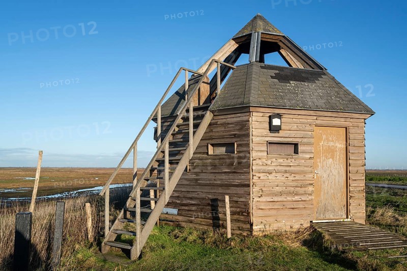 Bird hide at the nature reserve Verdronken Land van Saeftinghe, salt marsh of the Western Scheldt estuary on the border of the Netherlands and Belgium