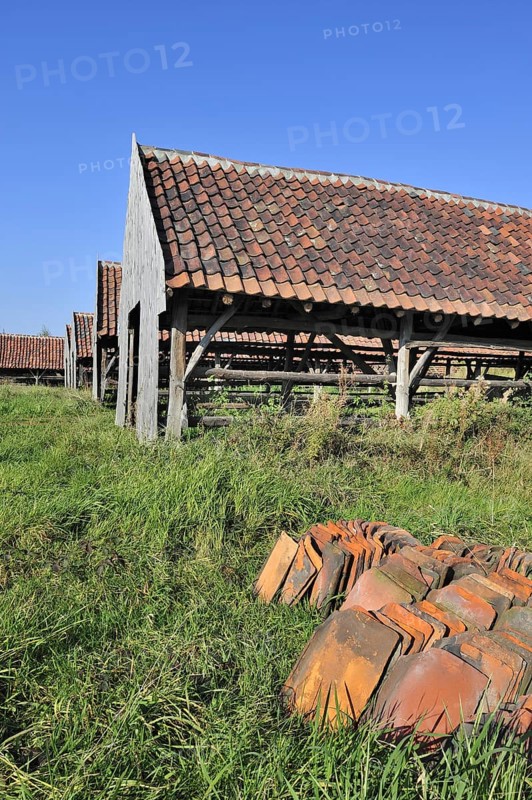 Drying yards and roof tiles at brickworks, Boom, Belgium, Europe