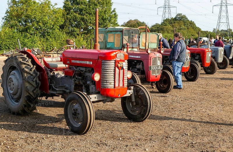 Vintage Massey Ferguson tractors at auction sale of vintage farming equipment, Campsea Ashe, Suffolk, England, UK