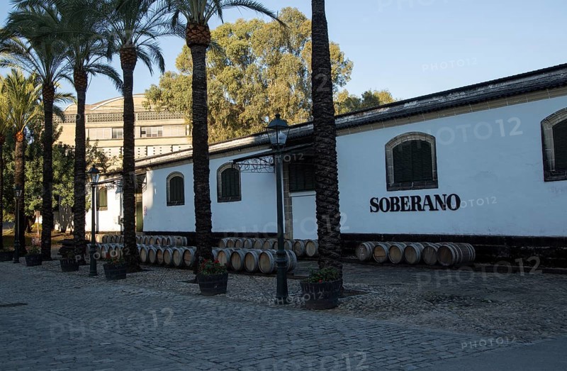 Soberano brandy cognac brand sign on building, Gonzalez Byass bodega, Jerez de la Frontera, Cadiz province, Spain, Europe