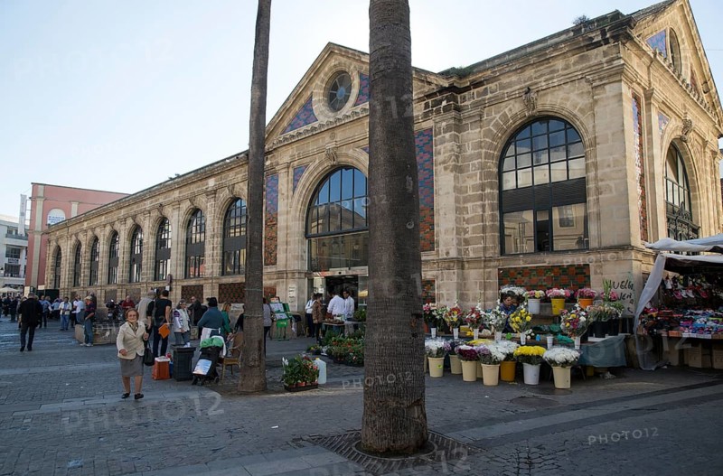 Florist flower stall outside historic market building, Jerez de la Frontera, Spain, Europe