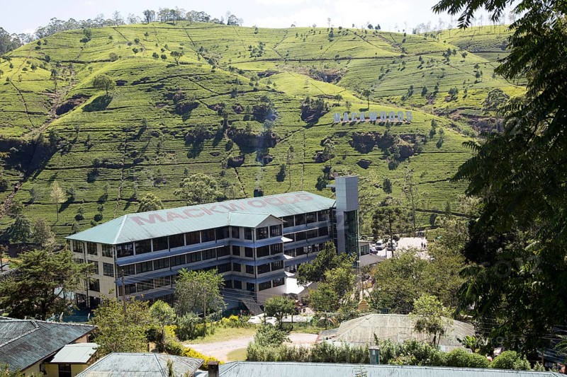 Mackwoods tea estate factory, Nuwara Eliya, Central Province, Sri Lanka, Asia