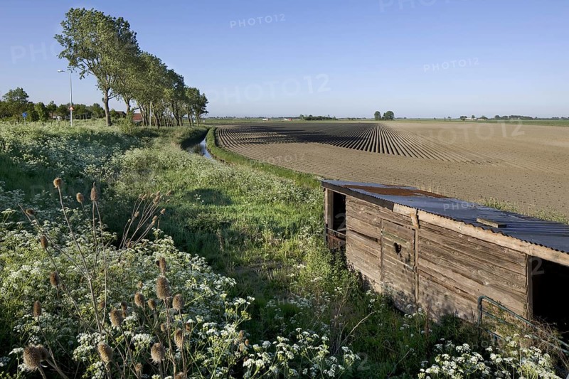 Barn along field at Schouwen, Schouwen-Duiveland, Zeeland, the Netherlands