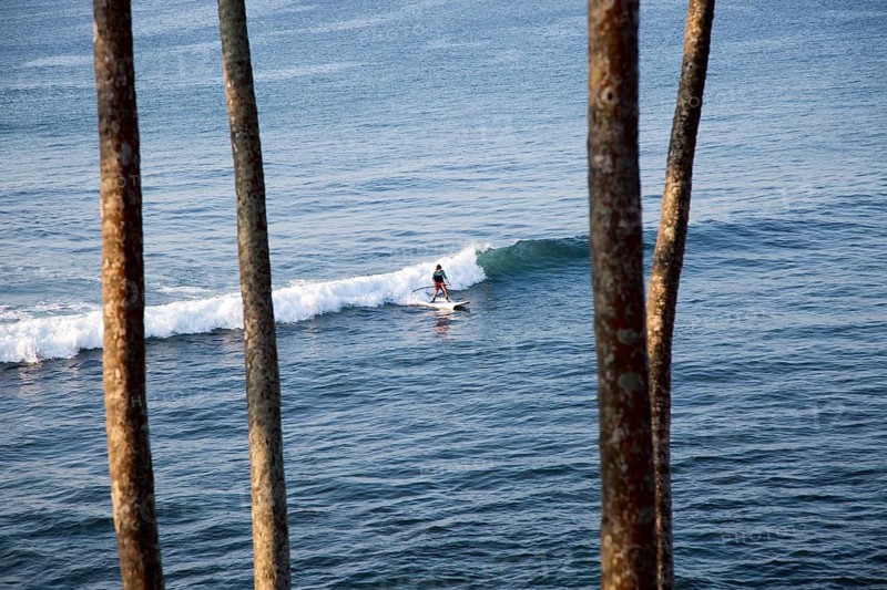 Man paddle board surfing on wave, Mirissa, Sri Lanka, Asia