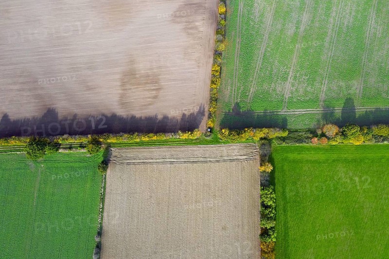 Aerial view over rural bocage landscape with fields and pastures, patchwork of plots surrounded by hedges and hedgerows, Schleswig-Holstein, Germany, Europe