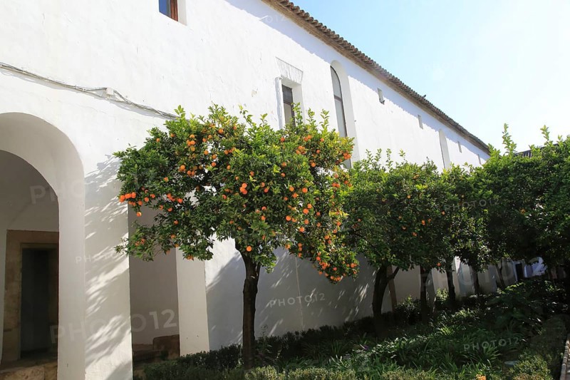 Orange trees in courtyard gardens of the Alcazar de los Reyes Cristianos, Alcazar, Cordoba, Spain, Europe