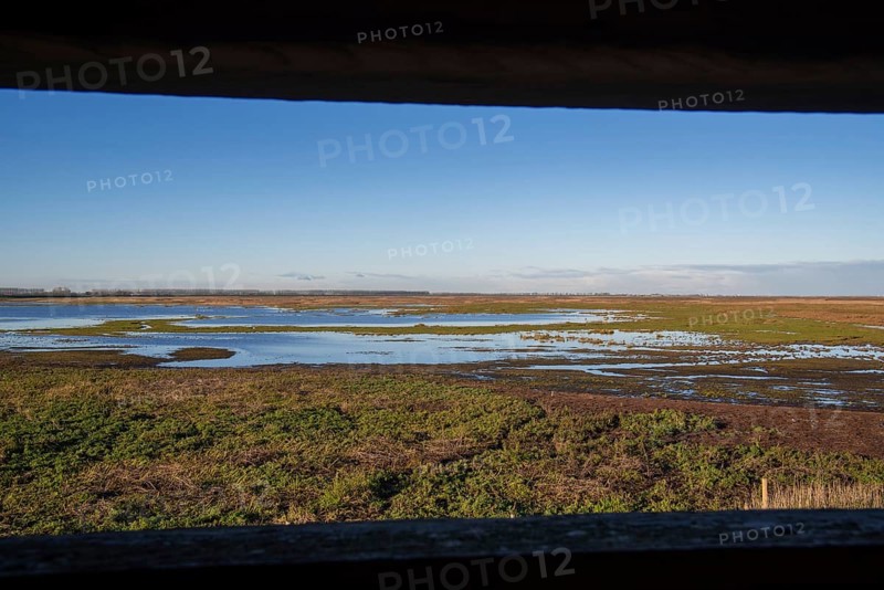 View over salt marsh of the Western Scheldt estuary at nature reserve Verdronken Land van Saeftinghe from within bird hide at Emmadorp, Netherlands