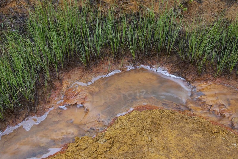 Paint Pots, iron-rich cold mineral springs in the Kootenay National Park, British Columbia, Canada, North America
