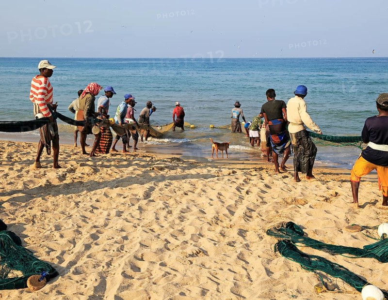 Traditional fishing hauling nets Nilavelli beach, near Trincomalee, Eastern province, Sri Lanka, Asia