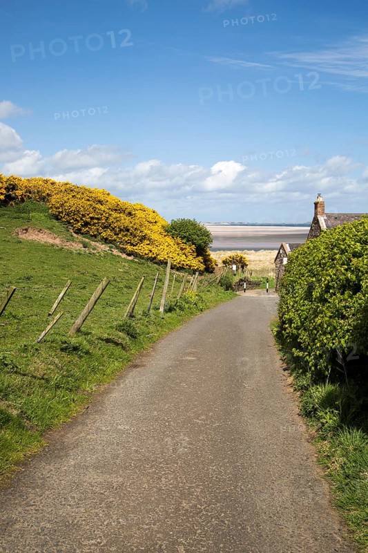 Coastal landscape at Budle Bay, Northumberland coast, England, UK