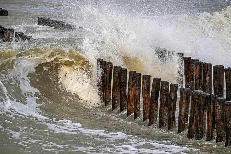 Wave crashing into wooden groyne, breakwater to avoid beach sand erosion during winter storm along North Sea coast in Zeeland, Netherlands